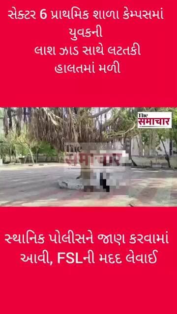 સેક્ટર 6 પ્રાથમિક શાળા કેમ્પસમાં યુવકની લાશ ઝાડ સાથે લટતકી હાલતમાં મળી#shortvideo #viralvideo #news