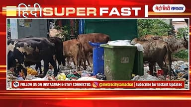 Mumbai Update : मुंबई की 25 बड़ी खबरें | Top 25 News | Mumbai Today News | 06 June Mumbai News