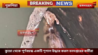 কুয়ো থেকে পূর্ণবয়স্ক একটি শৃগাল উদ্ধার করল বনদপ্তরের কর্মীরা