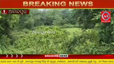 ଜଙ୍ଗଲୀ ହାତୀ ଏବେ ଗାଁ ମୁହାଁ , ଆନନ୍ଦପୁର ବନଖଣ୍ଡ ବିଭିନ୍ନ ଗାଁ ପଦ୍ମପୁର ,ବାଉଁଶଗଡ଼ , ଶାଳବଣି ଆଦି ଅଞ୍ଚଳରେ ବୁଲୁଛି ଦନ୍ତା , ବନ ବିଭାଗ ସଜାଗ