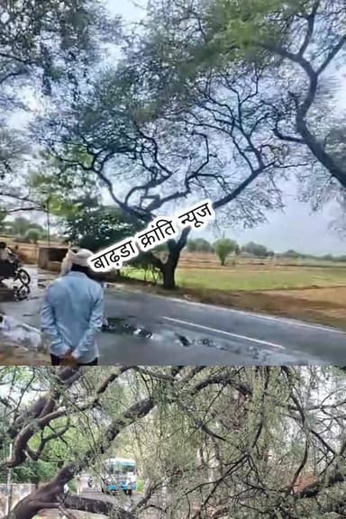 झोझू:,- तेज आंधी-बरसात से झोझू-कादमा मार्ग पर खूबी की ढाणी के पास गिरे पेड़, यातायात प्रभावित