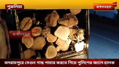 বলরামপুরে সেগুন গাছ পাচার করতে গিয়ে পুলিশের জালে চালক