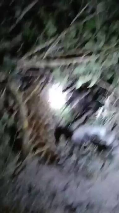 🚨 खेत की तारबंदी में फंसा तेंदुआ
अमरोहा के धनौरा तहसील क्षेत्र स्थित रमपुरा खादर गांव में खेत के चारों ओर लगी कंटीली तारबंदी में एक खूंखार तेंदुआ फंस गया।सूचना पर पहुंची वन विभाग की टीम ने रेस्क्यू अभियान चलाकर तेंदुए को सुरक्षित बाहर निकाला।🐆
#Amroha #Leopard #RescueOperation https://t.co/P5jUmZQTFp