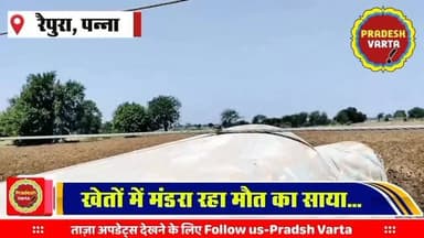 खेतों में मंडरा रहा मौत का साया! झूलते बिजली तारों से किसानों की जान जोखिम में, विभाग बेखबर #DangerInFields #ElectricalSafety #FarmerSafety
#RuralInfrastructure #PannaNews