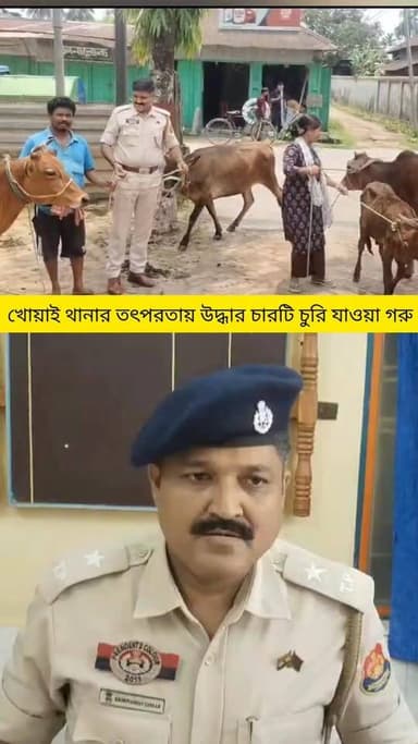 খোয়াই থানার তৎপরতায় উদ্ধার চারটি চুরি যাওয়া গরু