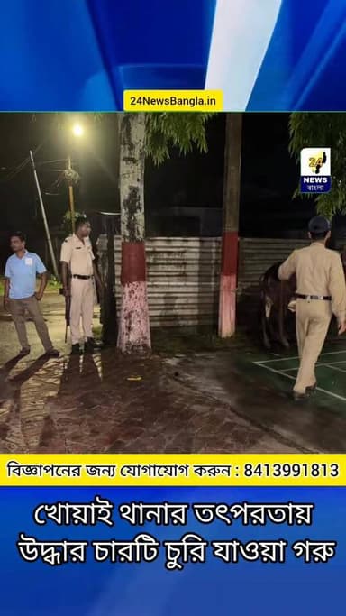 খোয়াই থানার তৎপরতায় উদ্ধার চারটি চুরি যাওয়া গরু