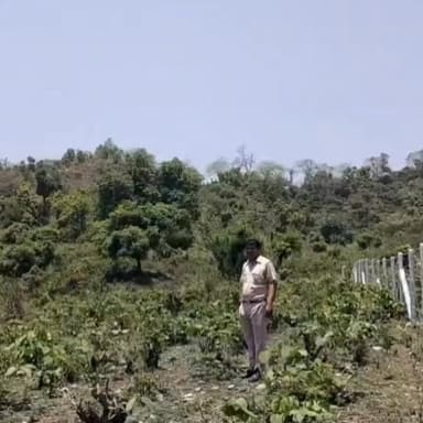 यमुनानगर सेंचुरी क्षेत्र में अतिक्रमण पर वन विभाग सख्त, 1054 एकड़ वन भूमि पर अतिक्रमण पर होगी बड़ी कार्रवाई,
निजी जमीन नहीं, वन भूमि,वन विभाग का बड़ा एक्शन।।
#Yamunanagar #ForestLand #WildlifeSanctuary #ForestDepartment #Encroachment #HaryanaNews #AKNews #Environment #WildlifeProtection #ForestConservationAct #BreakingNews #YamunaNagarNews #HaryanaForestDepartment #SanctuaryLand #IndianForestAct