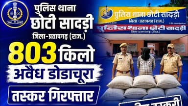 803 किलो अवैध डोडाचूरा | तस्कर गिरफ्तार | अफीम तस्करी #chotisadari #dodachura #taskar #afeemnews