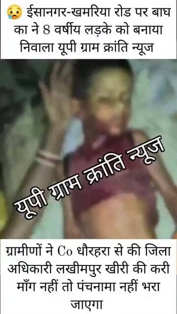 🐅 ईसानगर में बाघ का आतंक! 8 वर्षीय मासूम को बनाया निवाला, ग्रामीणों में भारी आक्रोश