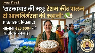 सरकाघाट की मधु बनीं आत्मनिर्भर: रेशम कीट पालन से बदल रही ग्रामीण महिलाओं की तकदीर