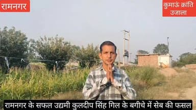 #रामनगर में भीषण गर्मी और इस #गर्म जलवायु के बीच #सेब का शानदार बगीचा, यह अद्भभुत खेती का सफल प्रयोग हुआ है, #रामनगर के मालधनचौड क्षेत्र में,
देखिए वीडियो -
#uttrakhand #nainital #Ramnagar