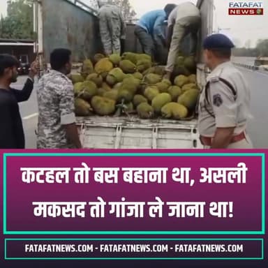 छत्तीसगढ़ में महासमुंद जिले की सिंघोडा पुलिस ने रेहटीखोल नाका के पास एक पिकअप वाहन को रोककर तलाशी ली, जिसमें कटहल के नीचे छिपाकर ले जाया जा रहा 125 किलो गांजा बरामद किया गया। जब्त किए गए इस गांजे की अंतरराष्ट्रीय कीमत 62 लाख 85 हजार रुपए आंकी गई है। पुलिस ने मौके से उड़ीसा के बलांगीर से उत्तर प्रदेश के प्रयागराज जा रहे 2 तस्करों को गिरफ्तार कर लिया है।
महासमुंद पुलिस की इस मुस्तैदी ने नशे के सौदागरों के मंसूबों पर पानी फेर दिया है। आरोपियों के खिलाफ मामला दर्ज कर आगे की कार्रवाई की जा रही है। नशे के खिलाफ इस बड़ी कामयाबी पर एक लाइक तो बनता है!
#MahasamundPolice #CrimeNews #DrugBust #ChhattisgarhPolice #OperationClean #OdishaToUP #AlertPolice #FatafatNews