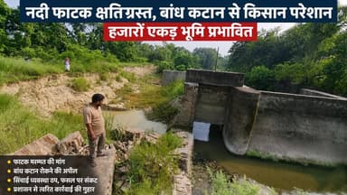 नदी फाटक क्षतिग्रस्त होने और बांध कटान से किसान परेशान, हजारों एकड़ भूमि प्रभावित