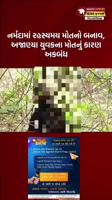 નર્મદામાં રહસ્યમય મોત | દેવલીયા-અલવા સીમમાં ઝાડ પર લટકતી અજાણ્યા યુવકની ડી-કમ્પોઝ લાશ મળી