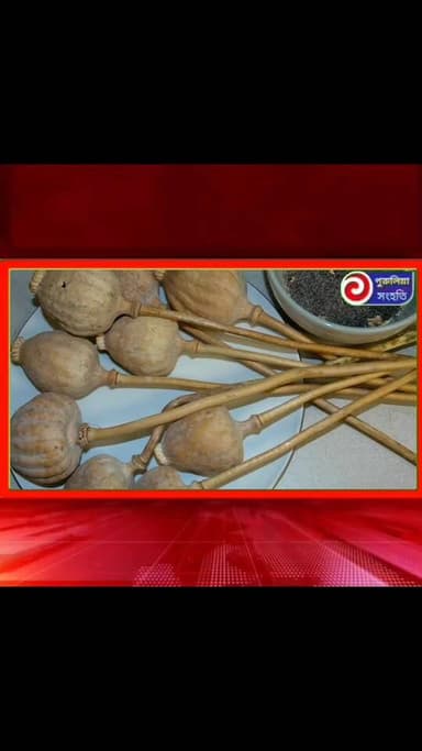 বাঘমুন্ডিতে পুলিশের বড় সাফল্য: ২৬০ কেজি নিষিদ্ধ পোস্ত খড়সহ ৩টি গাড়ি বাজেয়াপ্ত #purulia #purulia_district_police #poppy #Poppystraw #narcotics