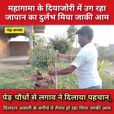 गोड्डा:महागामा के दियाजोरी में उग रहा जापान का दुर्लभ मिया जाकी आम
#झारखंड #गोड्डा #mahagama #Lalmatia #followersシ゚ #miyajakimango