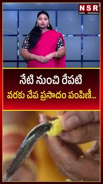 నేటి నుంచి రేపటి వరకు చేప ప్రసాదం పంపిణీ... | NSR NEWS