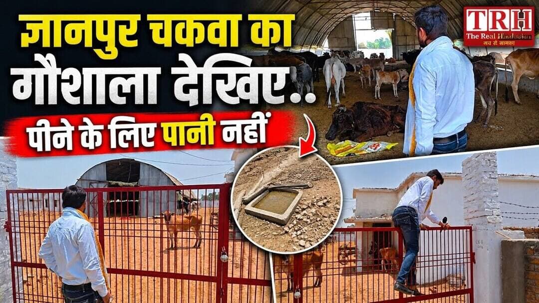 भदोही के ज्ञानपुर चकवा की गौशाला की स्थिति देखिये,, कैसा माहौल हैं #bhadohibreaking