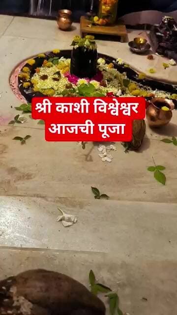 श्री काशी विश्वेश्वर आजची पूजा #marathinews nis:value=टीव्ही9मराठी#marathinews nis:enabled=true nis:link/> #marathinews #gaurisarri #marathi #mahadev