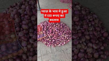 प्याज़ के भाव मे हुआ ₹100 रूपए का बदलाव #pyajbhav