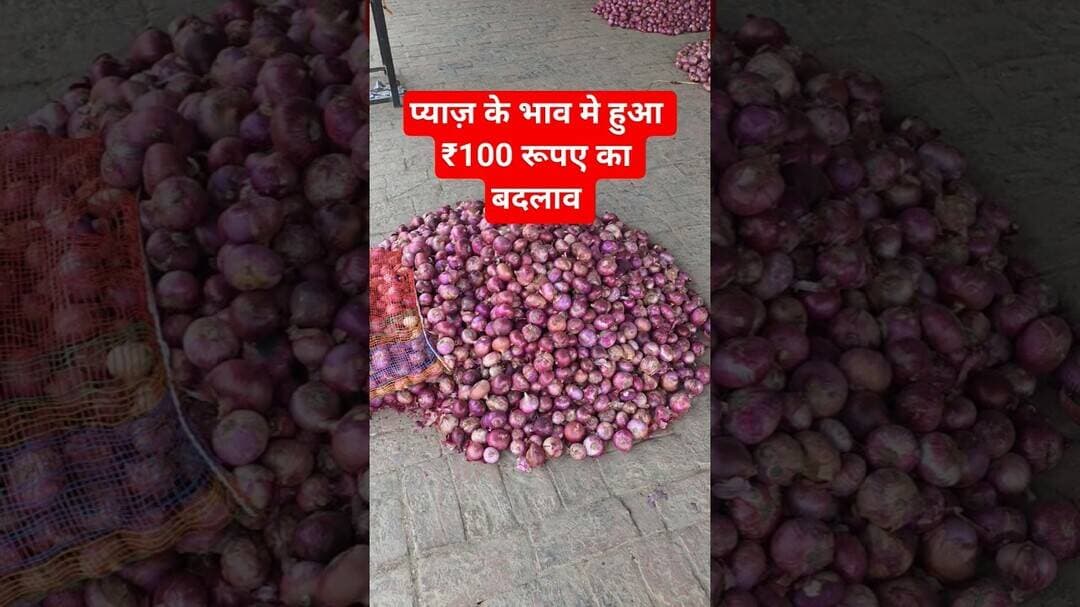 प्याज़ के भाव मे हुआ ₹100 रूपए का बदलाव #pyajbhav