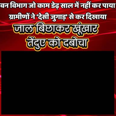 जैतपुर मांझा गांव के लोगों के देसी जुगाड़ में फंसा तेंदुआ, ग्रामीणों ने सुरक्षित रेसक्यू करने के बाद वन विभाग को सौपा
#GondaNews #LeopardRescued #TarabganjLeopard #NawabganjNews #UPForestDepartment #JaitpurVillage #LeopardTerror #DesiJugaad #WildlifeRescued #bharatsamachargonda #GondaForestDepartment #BreakingNewsGonda
