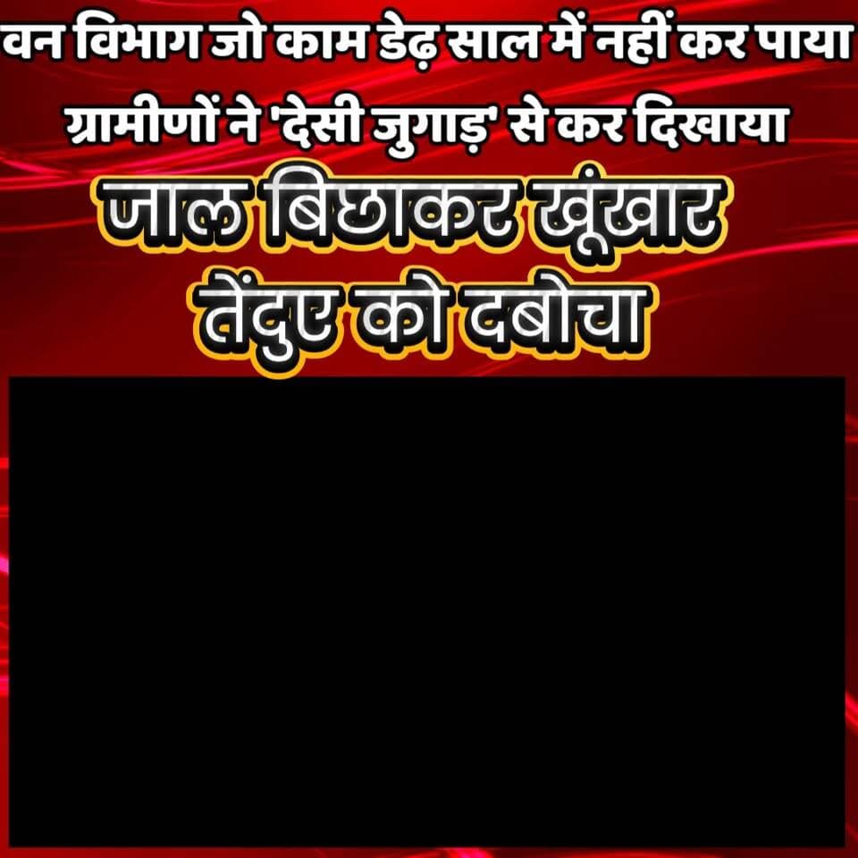 जैतपुर मांझा गांव के लोगों के देसी जुगाड़ में फंसा तेंदुआ, ग्रामीणों ने सुरक्षित रेसक्यू करने के बाद वन विभाग को सौपा
#GondaNews #LeopardRescued #TarabganjLeopard #NawabganjNews #UPForestDepartment #JaitpurVillage #LeopardTerror #DesiJugaad #WildlifeRescued #bharatsamachargonda #GondaForestDepartment #BreakingNewsGonda