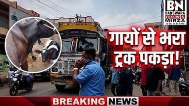 #गायों बछड़े से भरे ट्रक को पकड़ा बांसवाड़ा | गौ रक्षक,हिन्दू युवा हुवे आक्रोशित गायों के मालिक पर Bsw