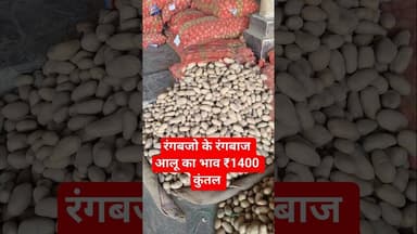 रंगबजो के रंगबाज श्रीनाथ आलू का भाव ₹1400 कुंतल चकरपुर मंडी कानपुर से #aalukabhav
