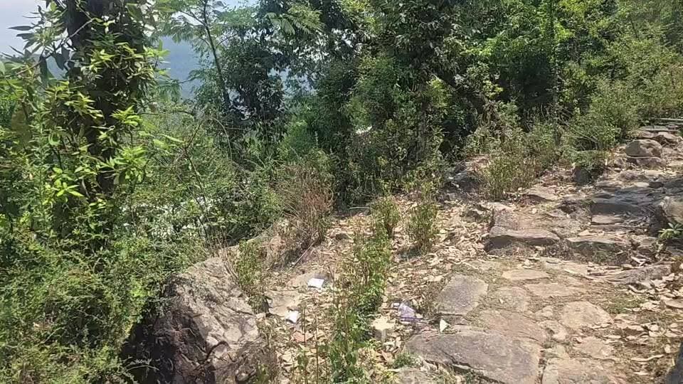 धर्मशाला के नारोजी रोड़ पर ट्रैफिक जाम में पिछले एक घंटे से फंसी एंबुलेंस, परिजन ने लगाए पुलिस कर्मचारी पर एंबुलेंस को न जाने के आरोप, एंबुलेस में था हार्ट पेशेंट ।
#himachalpradesh #dharmsala #meclodganj #ambulance #trafficjam #followers #highlights