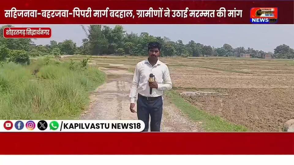 सिद्धार्थनगर : शोहरतगढ़ सहिजनवा-बहरजवा-पिपरी मार्ग बदहाल, ग्रामीणों ने उठाई मरम्मत की मांग #kapilvstunews18 #विजयन्यूज़ #सिद्धार्थनगर #CMYogi #DMSiddharthnagar #वायरल