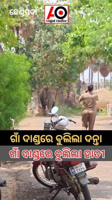 ଦିନ ଦ୍ବୀପହରରେ ଗାଁ ଦାଣ୍ଡରେ ବୁଲିଲା ହାତୀ
#ଅନୁଗୁଳଅନଲାଇନ #angulonline #CrimeNews #BreakingNews #angul #BREAKING