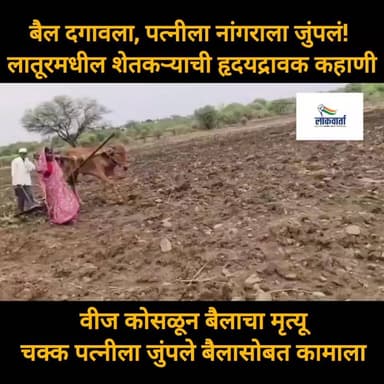 बैल दगावला, पत्नीला नांगराला जुंपलं! लातूरमधील शेतकऱ्याची हृदयद्रावक कहाणी
#LatestNews #vedioviral #MarathiNews #latur #farmar
