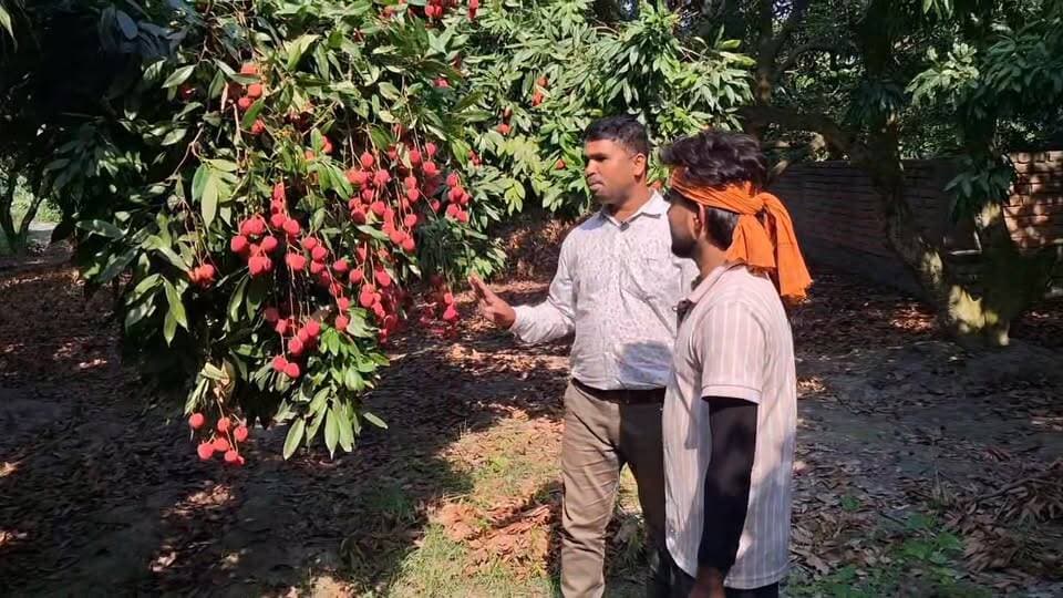 रोसड़ा की लीची इतनी मशहूर क्यों है?
इस एक फल के पीछे किसानों की मेहनत जानकर आप भी दंग रह जाएंगे!
#Rosera #Litchi #RoseraLitchi #Bihar #BiharNews #Farmers #Kisan #Agriculture #FruitFarming #LitchiSeason #ViralVideo #TrendingNow #HindiNews #LocalNews #VillageLife #BiharFarmers #FreshFruit #IndianFarmers #NewsUpdate #FacebookReels #ReelsViral #ViralPost #DailyNews #RoseraNews #Samastipur #SamastipurNews #DesiKisan #FarmingLife #OrganicFarming #IncredibleIndia 🍈🌱🔥