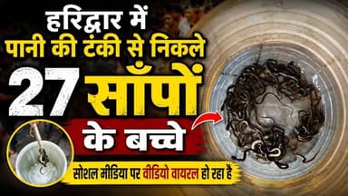#हरिद्वार में चौंकाने वाला रेस्क्यू, पानी की टंकी से निकले #27_सांपों के बच्चे; #सोशल_मीडिया पर वीडियो वायरल......