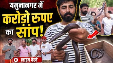 यमुनानगर में मिला 'करोड़ों का सांप'! लोग देखकर रह गए हैरान 😱
#Yamunanagar
#RedSandBoa
#SnakeNews
#BreakingNews
#LiveNews
#HR71News
#SnakeSmuggling
#WildlifeCrime
#RareSnake
#RedSandBoaSnake
#YamunanagarNews
#HaryanaNews
#ViralNews
#TrendingNews
#ExclusiveReport
#SnakeRescue
#WildlifeNews
#IndianWildlife
#NewsUpdate
#LiveDekhe