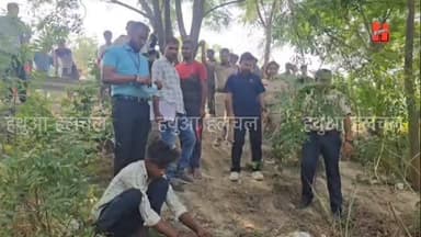 Big Breaking
गोपालगंज - मीरगंज के हकीम टोला गांव के समीप NH-531 के पास मिला शव, ...जाँच में जुटी पुलिस.. मृतक भोरे के बताये जा रहे है....
#gopalganj #news #viralnews #mirganjnews #halchalnews