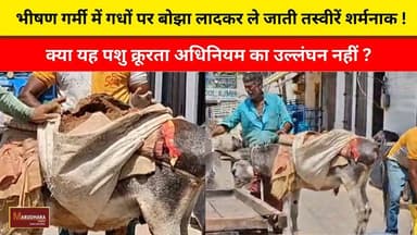 भीषण गर्मी में गधों पर बोझा लादकर ले जाती तस्वीरें शर्मनाक !
क्या यह पशु क्रूरता अधिनियम का उल्लंघन नहीं ?
#ajmer #trend #june #june2026 #2026 #ajmercity #ajmernews #today #todayupdate #Updatenews #headlines #rajasthan #राजस्थान #rajasthannews #bigbreakingNews #goldprice #goldpricetoday #latestnews #news #newsupdate #crime #crimenews #ajmerbreaking #marudharatoday