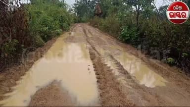 ଅଙ୍କଲି ଗାଁର ରାସ୍ତା ଦୁରବସ୍ଥାକୁ ନେଇ ଗ୍ରାମବାସୀଙ୍କ ଅସନ୍ତୋଷ, ସିସି ରୋଡ଼ ନିର୍ମାଣ ଦାବି