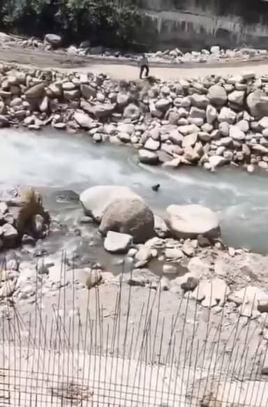 मणिकर्ण में नदी किनारे फोटो खिंचवाना पड़ा भारी, पंजाब के तीन पर्यटक तेज बहाव में बहे, समय रहते बचाई गई जान
नदी के किनारे फिसलने से मची अफरा-तफरी, प्रशासन ने पर्यटकों से सतर्क रहने और जोखिम न लेने की अपील की
कुल्लू जिले के मणिकर्ण में उस समय हड़कंप मच गया जब पंजाब से घूमने आए एक परिवार के तीन सदस्य नदी किनारे फोटो खिंचवाने के दौरान अचानक फिसलकर तेज बहाव में जा गिरे। घटना के बाद मौके पर मौजूद लोगों में अफरा-तफरी का माहौल बन गया।
प्रत्यक्षदर्शियों और स्थानीय लोगों की सतर्कता से राहत एवं बचाव कार्य तुरंत शुरू किया गया, जिसके चलते तीनों पर्यटकों को सुरक्षित बाहर निकाल लिया गया। समय रहते मदद मिलने से एक बड़ा हादसा टल गया।
घटना के बाद प्रशासन ने पर्यटकों से अपील की है कि वे नदियों और खतरनाक स्थानों के समीप सेल्फी या फोटो खिंचवाते समय विशेष सावधानी बरतें। प्रशासन ने कहा कि थोड़ी सी लापरवाही भी गंभीर दुर्घटना का कारण बन सकती है, इसलिए सुरक्षा निर्देशों का पालन करना बेहद जरूरी है।