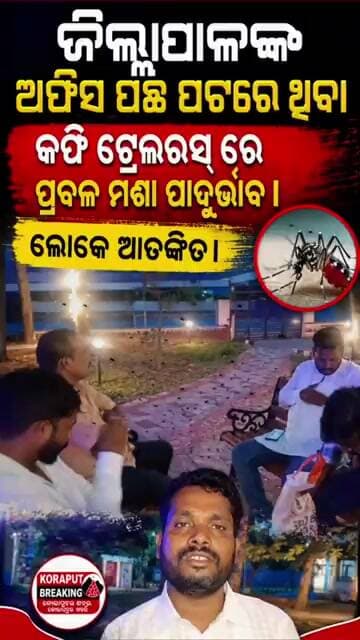 ଜିଲ୍ଲାପାଳଙ୍କ ଅଫିସ ପଛପଟରେ ଥିବା କଫି ଟ୍ରେଲର୍ସରେ ପ୍ରବଳ ମଶା ଉପଦ୍ରବ! ଅତିଷ୍ଠ ଲୋକେ...#shorts #shortsfeed