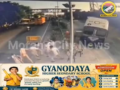 मुरैना वन चौकी चेकिंग पॉइंट में घुसा बेकाबू ट्रक, CCTV फुटेज आया सामने; बाल-बाल बचे जवान
#Morena #MorenaNews #CCTVFootage #TruckAccident #ForestCheckPost #BreakingNews #MadhyaPradesh #ViralVideo #MorenaUpdate #AccidentNews #ForestDepartment #MPNews #Chambal #LatestNews #HindiNews