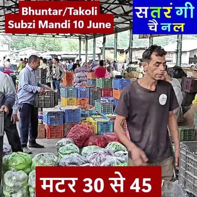 भुंतर और टकोली सब्ज़ी मंडी में आज दिनांक 10 जून को सब्ज़ियों और फ़लों के थोक भाव यह रहे | देखें वीडियो.....
#bhuntarsubzimandi #takolisubzimandi #solansubzimandi #azadpursubzimandi
Plz Subscribe Our Channel.