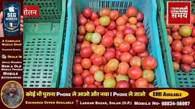 सब्जियों के रेट लगातार इजाफा, जानिए क्या रहा भाव
हिमाचल समय - Himachal Samay Media #baghaatbank #BreakingNews #shimlahills #shimlamahotsav #solan
