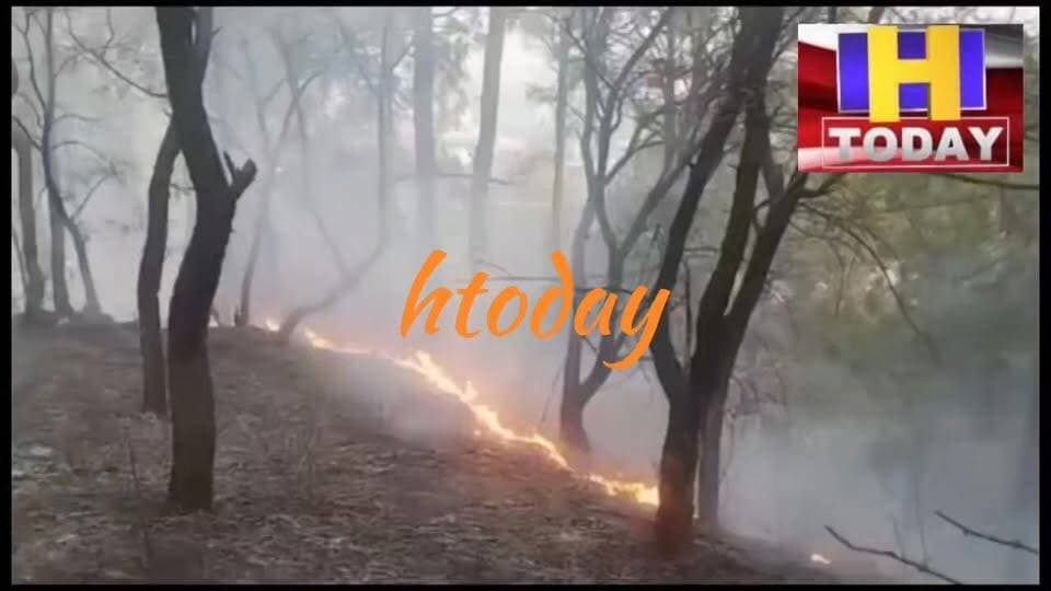 भीषण गर्मी से धधके जंगल: हमीरपुर में 20 वनाग्नि घटनाएं, 116 हेक्टेयर क्षेत्र प्रभावित
#forest #forestfire #hamirpur #conservatorforest #hamirpurforestcircle