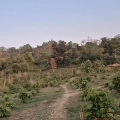 यमुनानगर ग्राम फेजपुर सेंचुरी में वन विभाग का एक्शन मोड, 8 खाइयाँ खोदकर रोकी वाहनों की एंट्री,जंगल में अब नहीं दौड़ेंगे वाहन,फेजपुर सेंचुरी में वन विभाग ने खोदीं 8 खाइयाँ, अवैध कब्जाधारियों पर भी बड़ी कार्रवाई की तैयारी!" 🚨🌳 #Yamunanagar #ForestNews #Sanctuary #BreakingNews #HaryanaNews