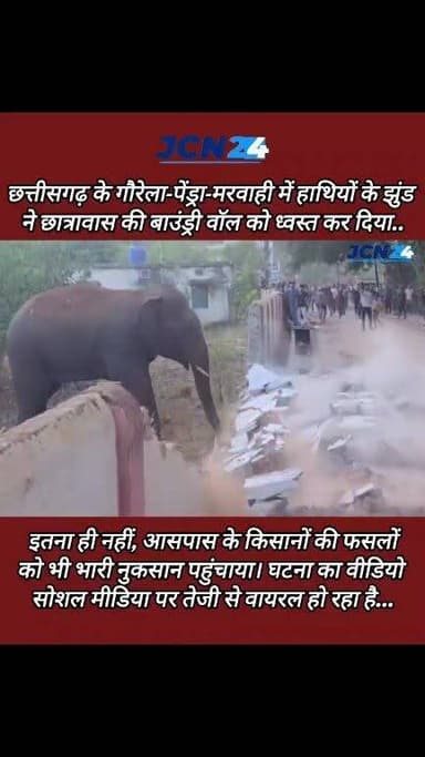 छत्तीसगढ़ के गौरेला-पेंड्रा-मरवाही में हाथियों के झुंड ने छात्रावास की बाउंड्री वॉल को ध्वस्त कर दिया। इतना ही नहीं, आसपास के किसानों की फसलों को भी भारी नुकसान पहुंचाया। घटना का वीडियो सोशल मीडिया पर तेजी से वायरल हो रहा है।
#Chhattisgarh #ElephantAttack #ViralVideo #GPM #Wildlife #BreakingNews #ElephantHerd #ABPNews #TrendingVideo #CGNews