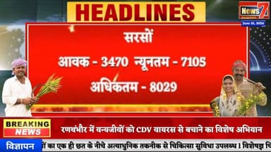 #mandibhaav गंगापुर सिटी अनाज मंडी के भाव #gangapurcity #mandiseeds #news7rajasthan #todaynews