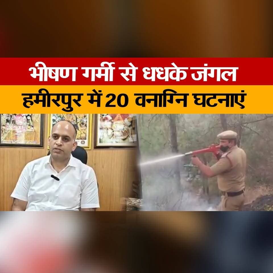 भीषण गर्मी से धधके जंगल
हमीरपुर में 20 वनाग्नि घटनाएं
#Hamirpur #ForestFire #Wildfire #Heatwave #HimachalPradesh #BreakingNews #ForestDepartment #ClimateChange #FireAlert #EnvironmentalNews #NatureCrisis #SummerHeat #WildfireSeason #DisasterAlert #HimachalNews #thesummernewshimachal