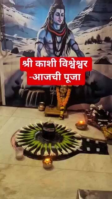 श्री काशी विश्वेश्वर-धोत्रा फुल पूजा #टीव्ही9मराठी#गौरीसारी#duet #marathi#mahadev #omnamahshivaya